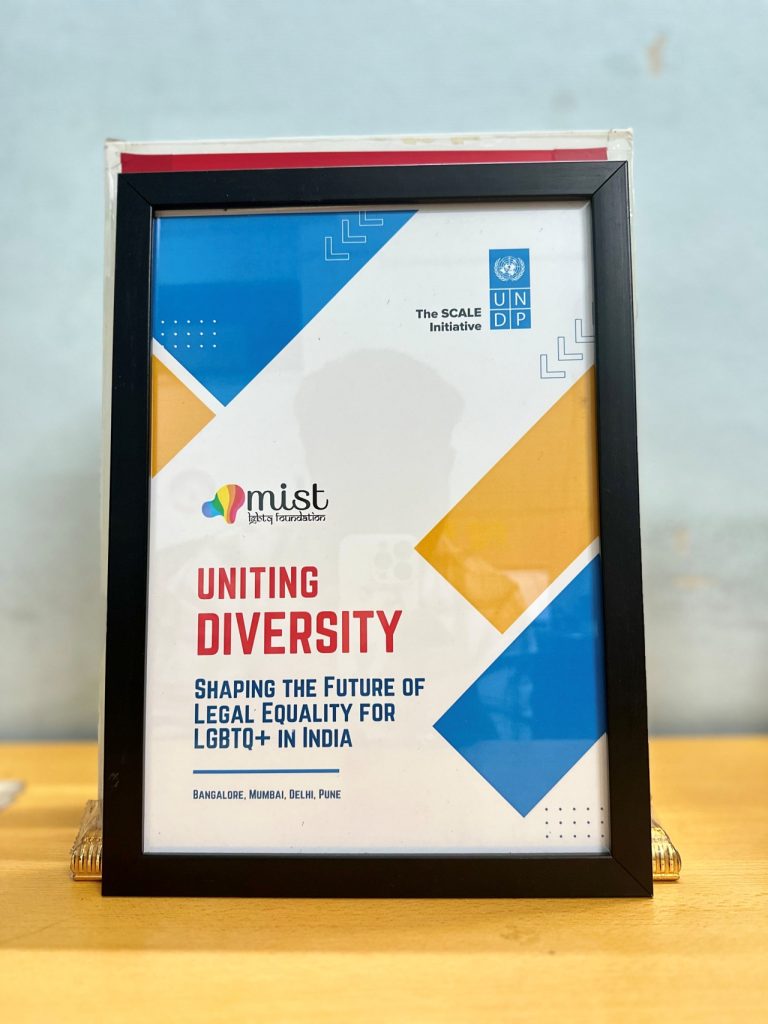 Mist LGBTQ Foundation- Uniting Diversity- The Scale Initiative UNDP